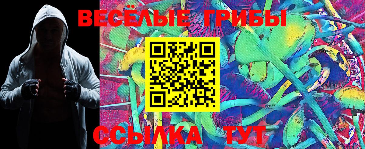 Галлюциногенные грибы Cubensis  Вход с VPN  Сегежа 